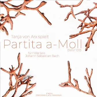 Partita a-moll für Flöte Solo, BWV 1013, Johann Sebastian Bach by Tanja von Arx by Tanja von Arx