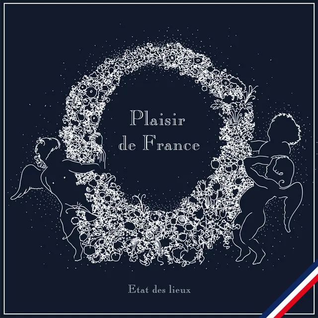 Marianne, You've Done It Now - Plaisir de France Remix