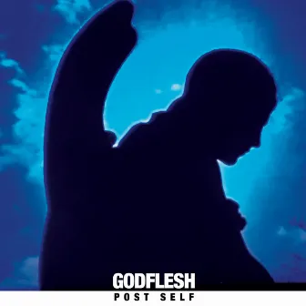 Post Self by Godflesh