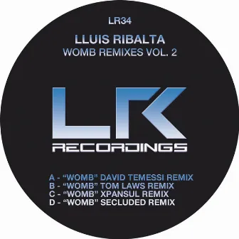 Womb Remixes, Vol. 2 by Lluis Ribalta