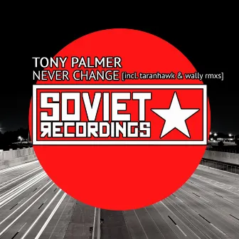 Never Change by Tony Palmer