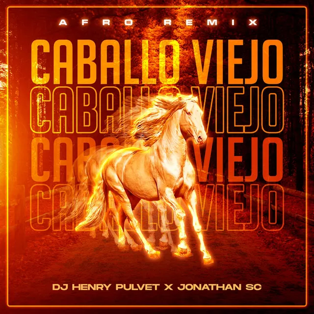 Caballo Viejo - DJ Henry Pulvet Remix