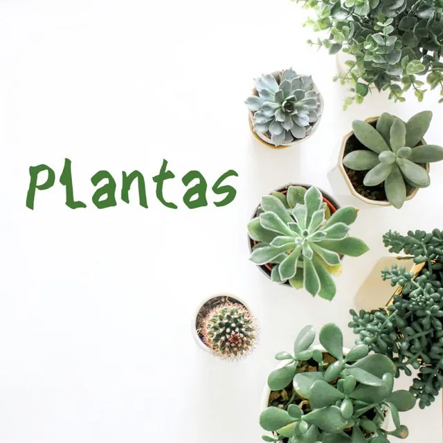 Plantas