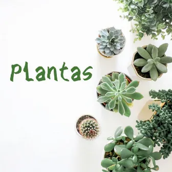 Plantas by Sabanero