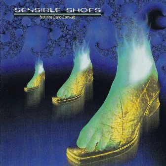 Sensible Shoes by David Baerwald