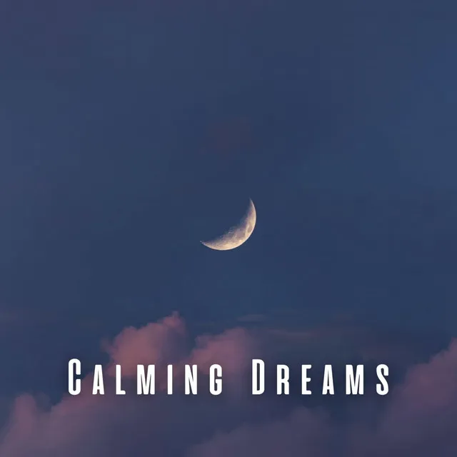 Calming Dreams: Chill Music for a Good Sleep