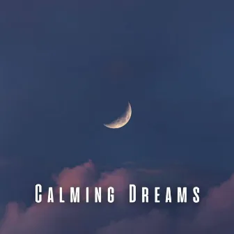 Calming Dreams: Chill Music for a Good Sleep by My Wondrous Dream