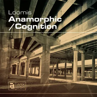 Anamorphic / Cognition by Loomis