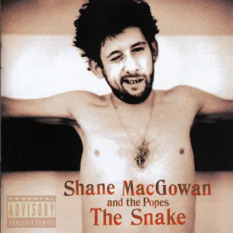 The Snake by Shane MacGowan & The Popes