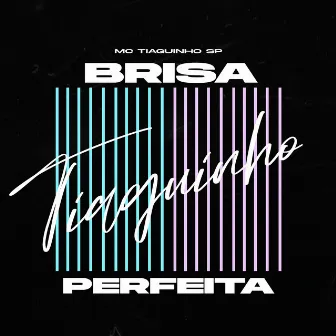 Brisa Perfeita by MC Tiaguinho SP