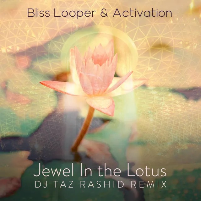 Jewel in the Lotus - DJ Taz Rashid Remix