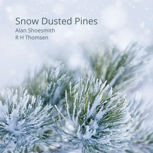 Snow Dusted Pines