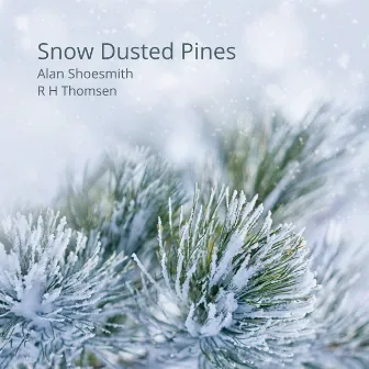 Snow Dusted Pines by R H Thomsen