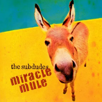 Miracle Mule by The Subdudes