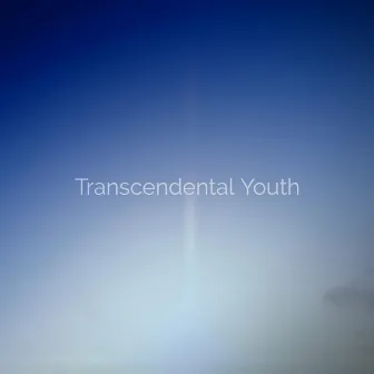 Forest Mist by Transcendental Youth