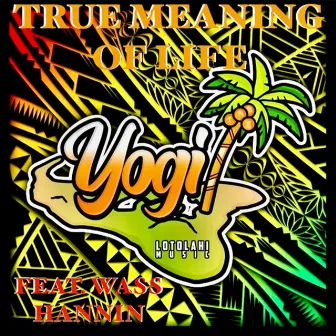 True Meaning of Life by Yogi