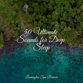 50 Ultimate Sounds for Deep Sleep by Tinnitus