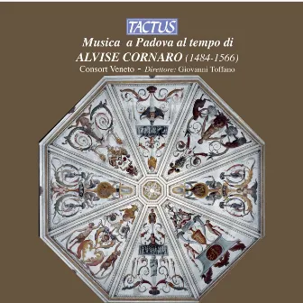 Musica a Padova al tempo di Alvise Cornaro by Giovanni Toffano