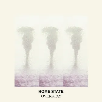 Overstay by Home State