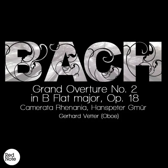 Grand Overture No. 2 in B Flat major, Op. 18: II. Andante