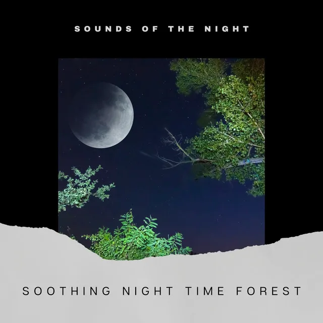 Sounds of the Night