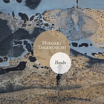 Haydn: 4 Piano Sonatas by Hiroaki Takenouchi