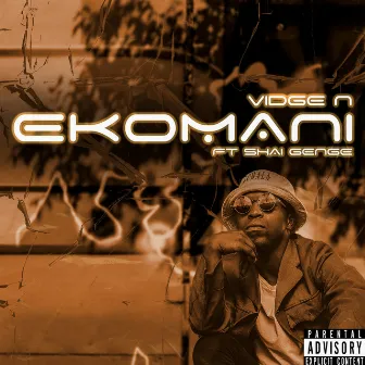 eKomani by Vidge N