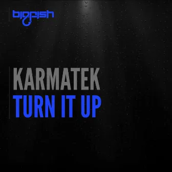 Turn It Up by Karmatek