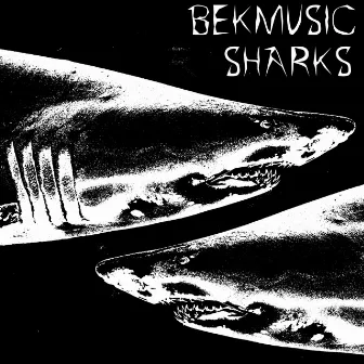 SHARKS by BekMusic