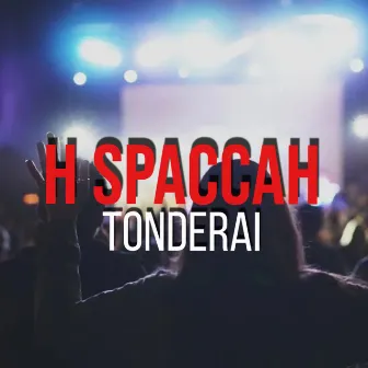 Tonderai (life) by H Spaccah