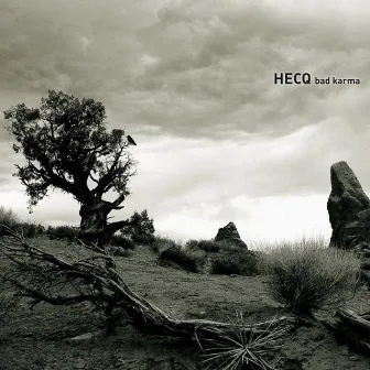 Bad Karma by Hecq