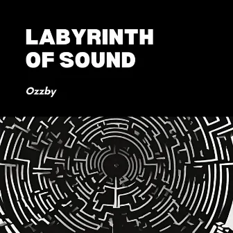 Labyrinth of Sound by Ozzby