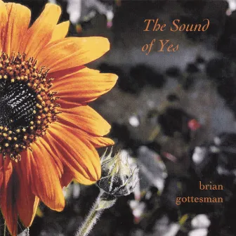 The Sound Of Yes by Brian Gottesman