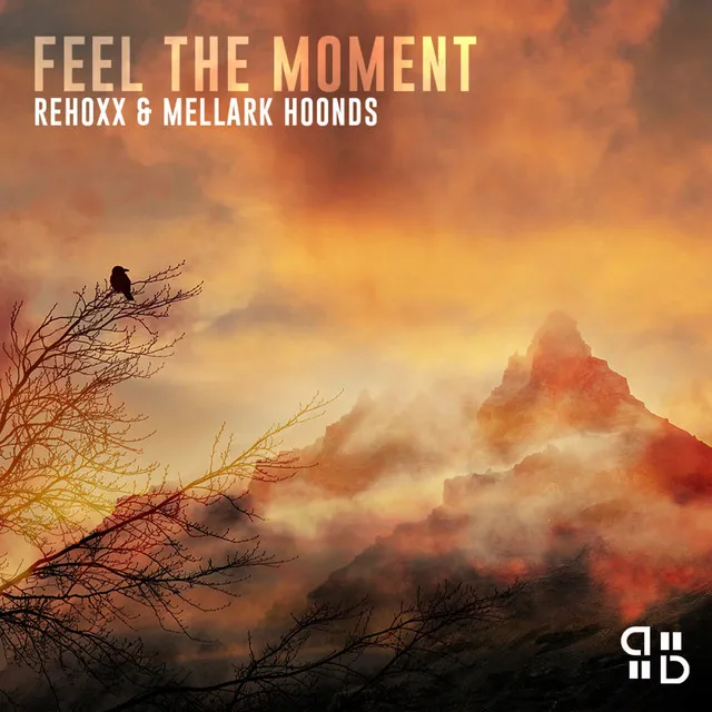 Feel The Moment - Radio Edit