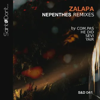 Nepenthes Remixes by 