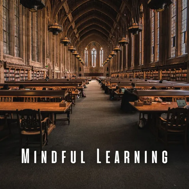 Mindful Learning: Meditation Music for Thoughtful Study