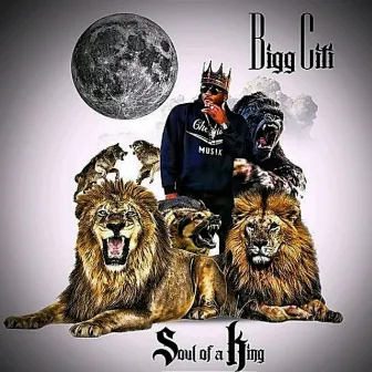 Soul of a King by Bigg Citi