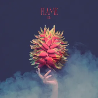 FLAME (in 2022) by DISH//