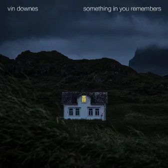 Something in You Remembers by Vin Downes