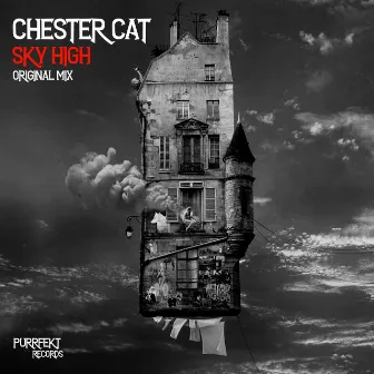 Sky High by Chester Cat