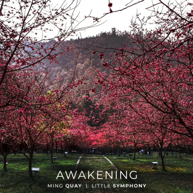 Awakening