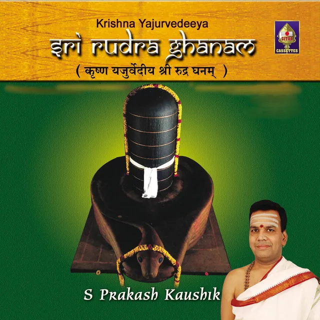 Sri Rudra Ghanam - S Prakash Kaushik