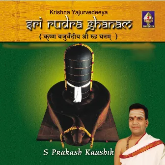 Sri Rudra Ghanam - S Prakash Kaushik by S.Prakash Kaushik