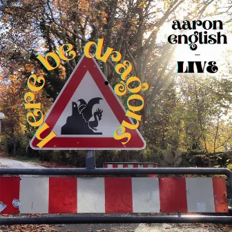 Here Be Dragons (Live) by Aaron English