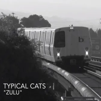 Zulu by Typical Cats