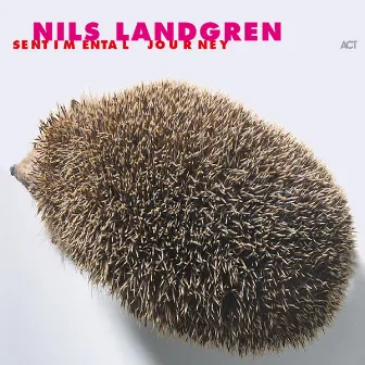 Sentimental Journey by Nils Landgren