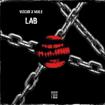 Lab by Vizcor