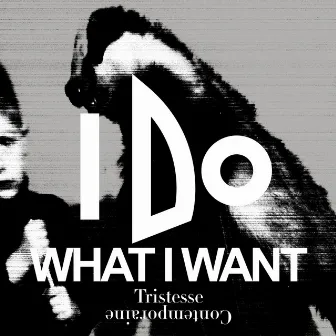 I Do What I Want by Tristesse Contemporaine