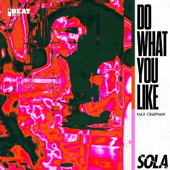 Do What You Like by Max Chapman