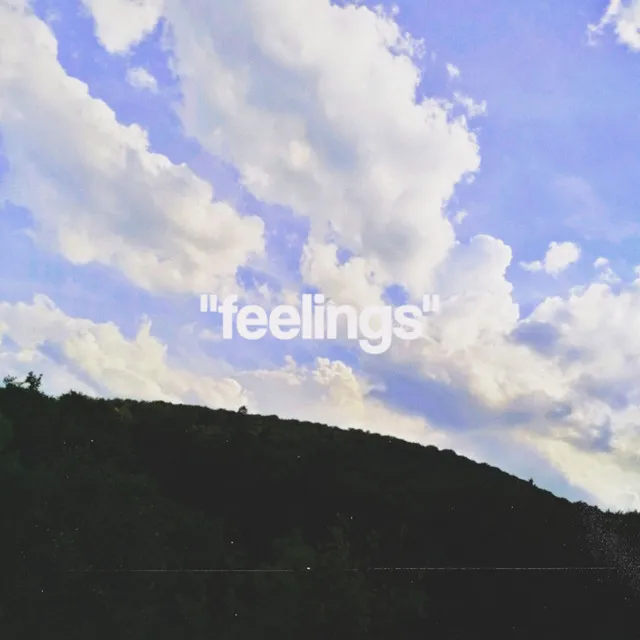 Feelings